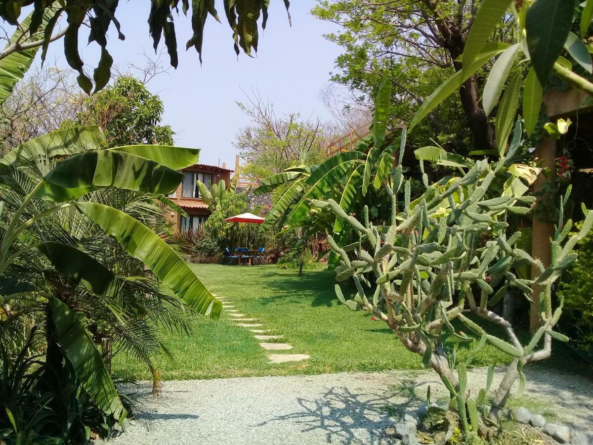 Cabanas El Nido De La Huilota Otel Tepoztlán Dış mekan fotoğraf